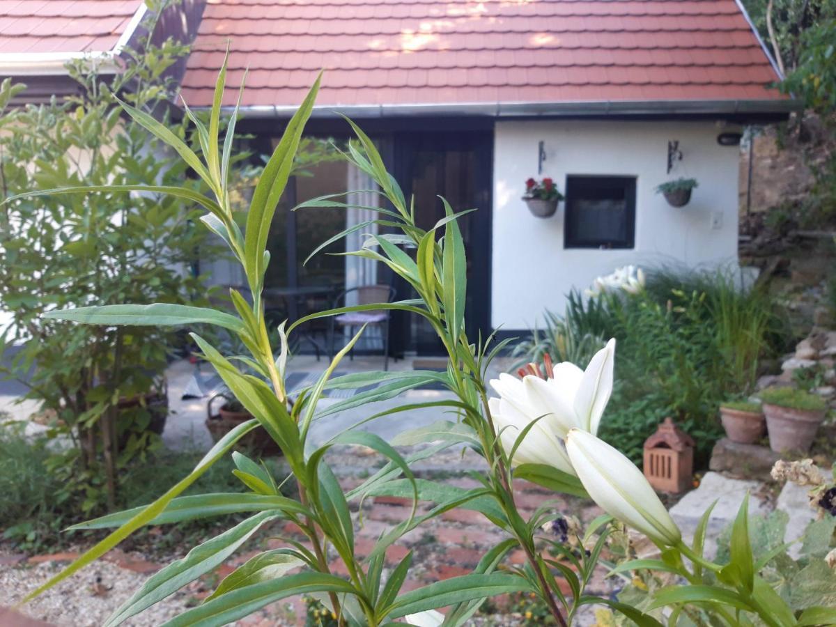 Kismadar Vendeghaz Noszvaj Apartment Exterior photo