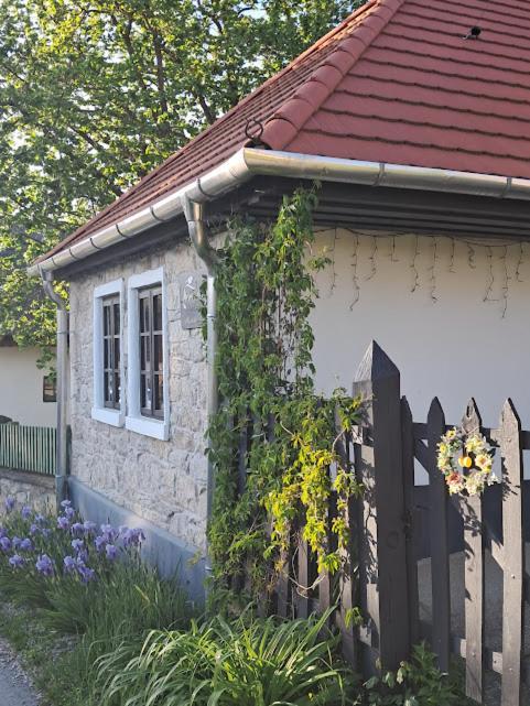Kismadar Vendeghaz Noszvaj Apartment Exterior photo